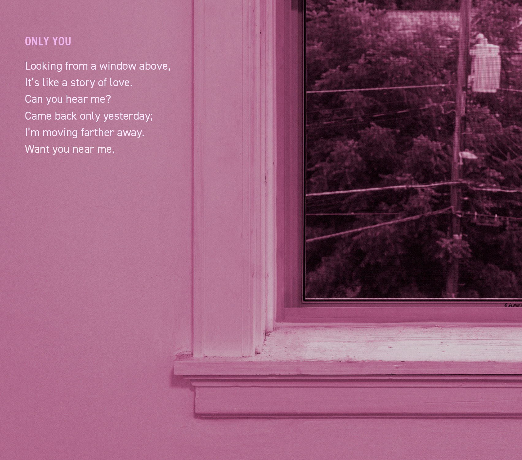 fourth panel, pink window